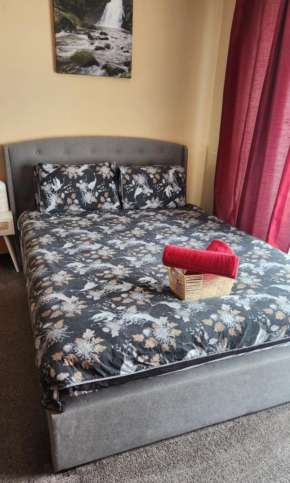 دروغيدا Fox Lodge المظهر الخارجي الصورة